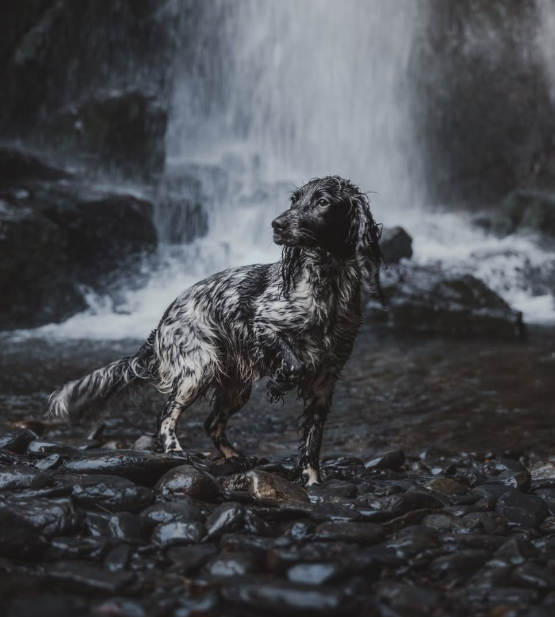 Darcie standing in front of a waterfall